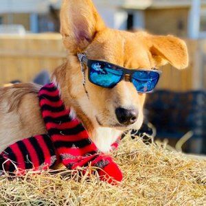 Meet your Posher, Derek